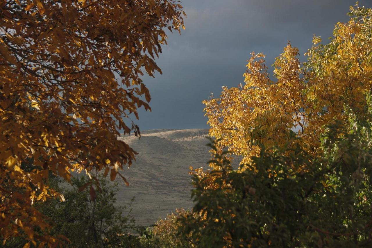 Zove Rural Cottage With Garden Views K'arashamb Екстериор снимка